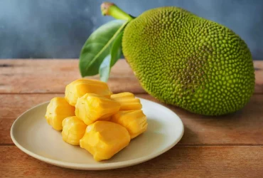 jackfruit meyvesinin faydaları